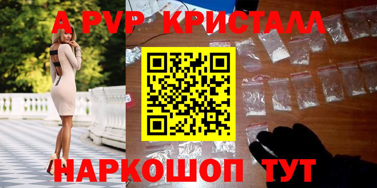 Альфа ПВП СК Нововоронеж