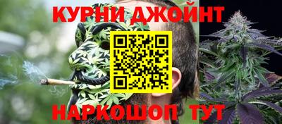 Альфа ПВП Камень-на-Оби