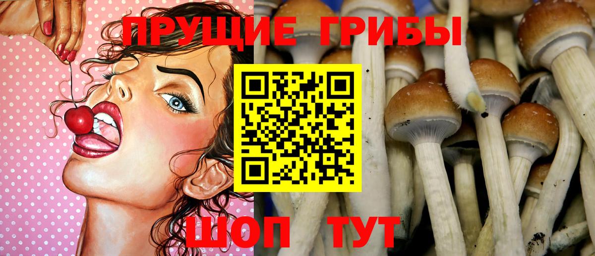 Галлюциногенные грибы ЛСД Нововоронеж